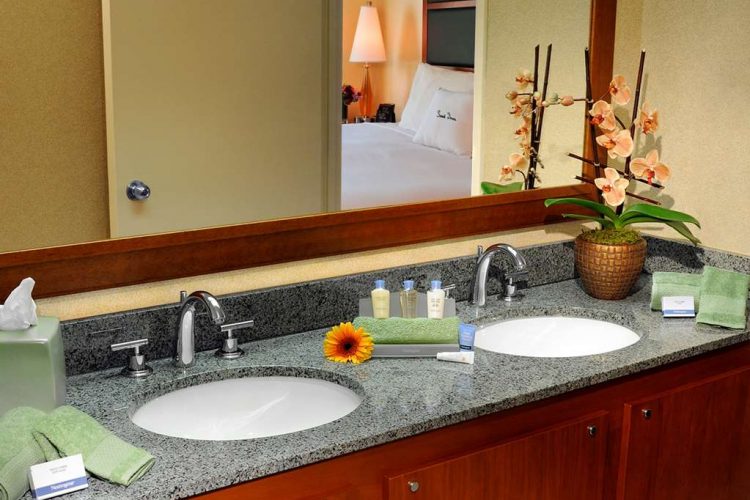 Hotel New York Doubletree Suites By, Rodarte 24 Single Bathroom Vanity Set With Mirror