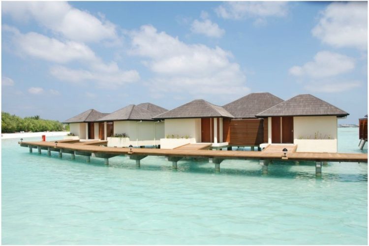 Maldives paradise island resort Homepage